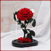 Rose éternelle SOUS CLOCHE - Ours en Rose éternelle - Cadeau Unique & Original