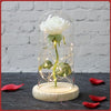 Fairy Roses Eternelles sous cloche Artificiel Cadeaux original unique Rouge métal